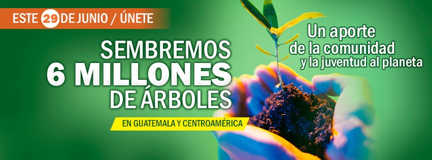 Buscan voluntarios para sembrar 3 millones de árboles en Guatemala 2019