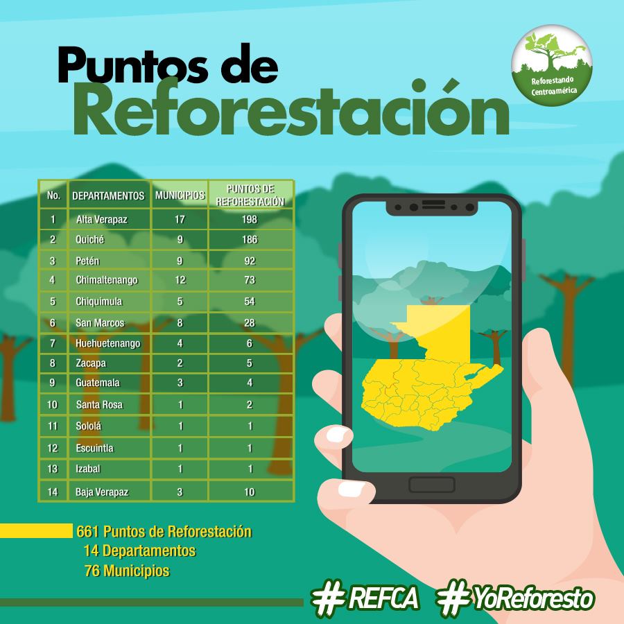 Buscan voluntarios para sembrar 3 millones de árboles en Guatemala