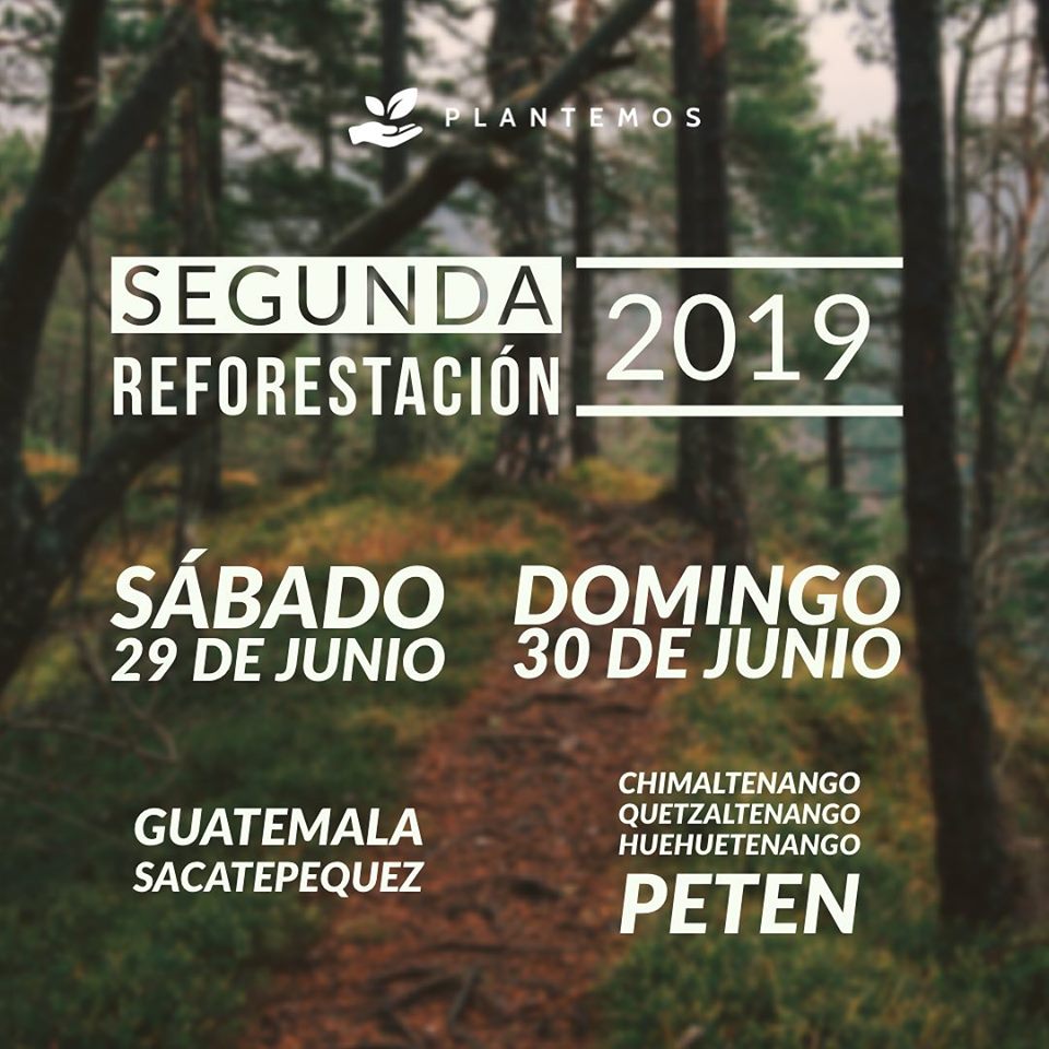 Convocatoria de voluntarios para sembrar árboles en Guatemala en junio de 2019