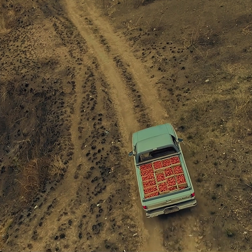 Cortometraje de El Taier DDB Centro participa en Cannes Lions 2019a