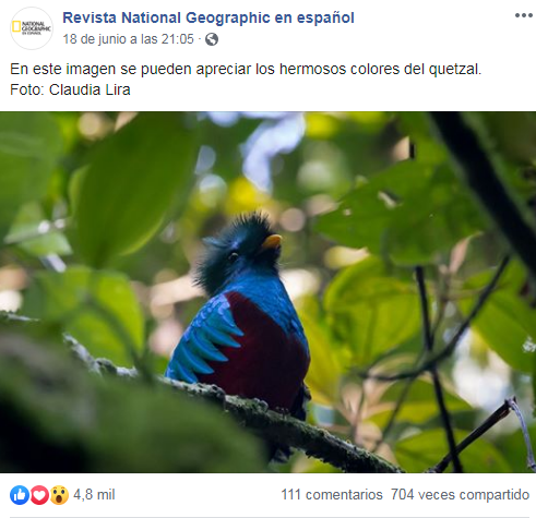 Foto del Quetzal captada por guatemalteca fue destacada en National Geographic