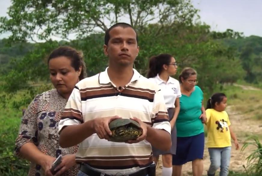 (Foto: Captura Youtube Guardian de Tortugas) 