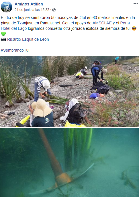 Qué es el tul