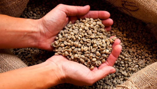 cafe diferenciado guatemalteco Precio cafe