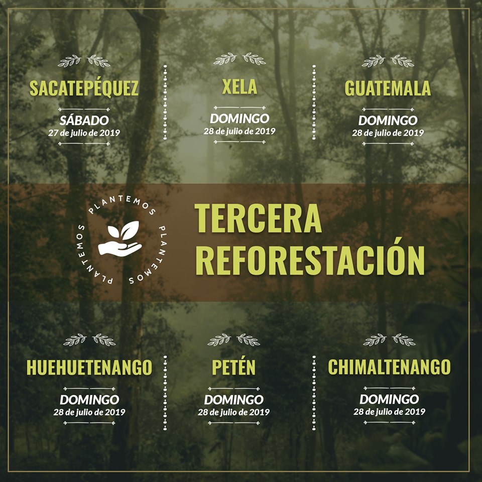 Buscan voluntarios para sembrar árboles en Guatemala en julio de 2019