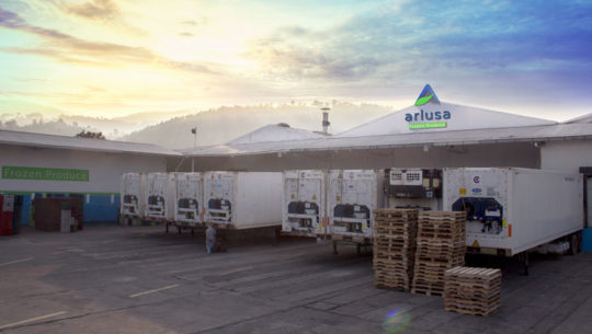Grupo DetPon Guatemala Exportacion Vegetales frutas