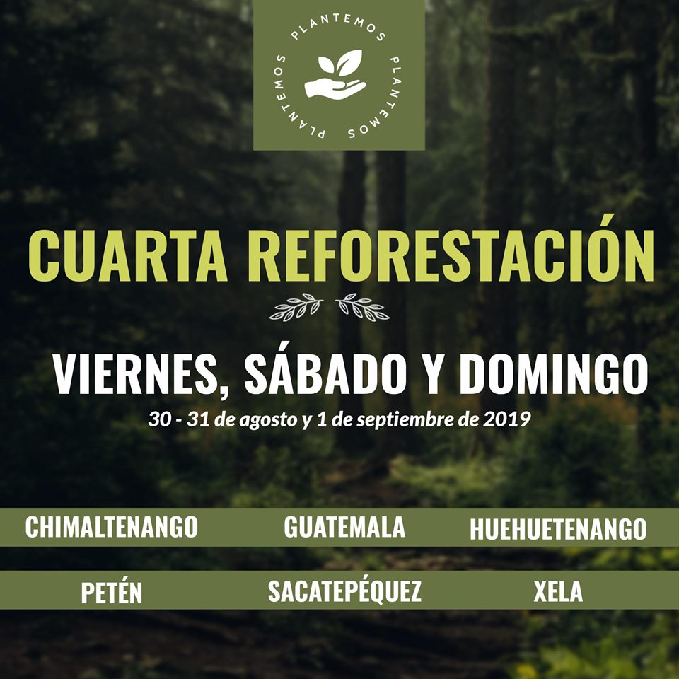 Buscan voluntarios para sembrar árboles en Guatemala en agosto y septiembre de 2019