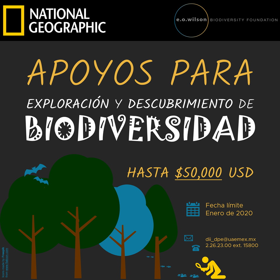 Nat Geo ofrece financiamiento para ambientalistas que buscan explorar la biodiversidad en 2019