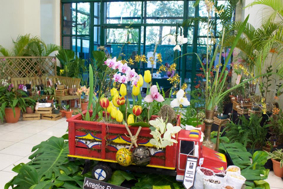 (Foto: Asociación Guatemalteca de Orquideología)