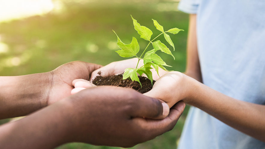 Guatemaltecos implementarán proyectos ecológicos que ayudarán al medio ambiente