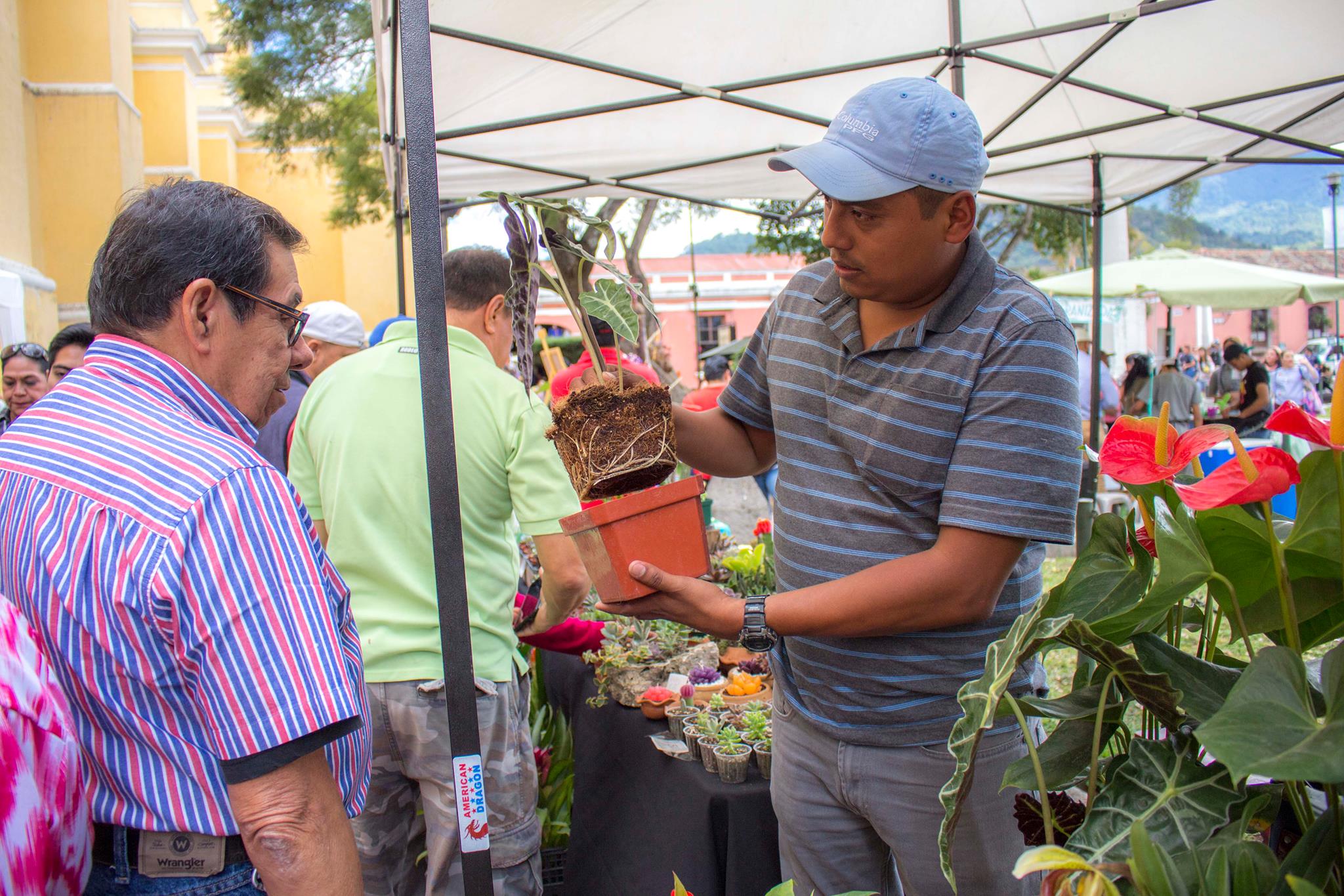 (Foto: Festival de Las Flores en La Antigua Guatemala)