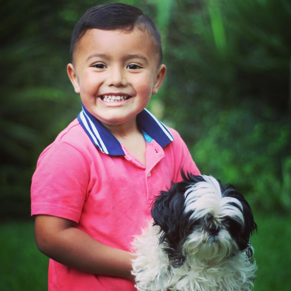 (Foto: Adopciones Perrópolis)