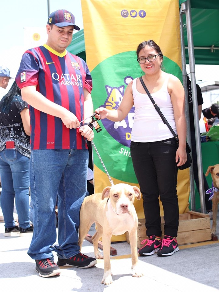 (Foto: Guate unida por los Animales)