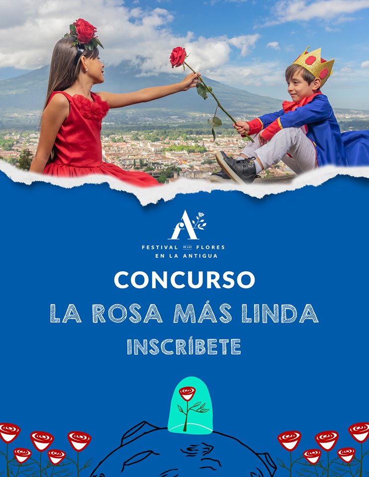 Concurso de rosas inspirado en El Principito para el Festival de las Flores 2019