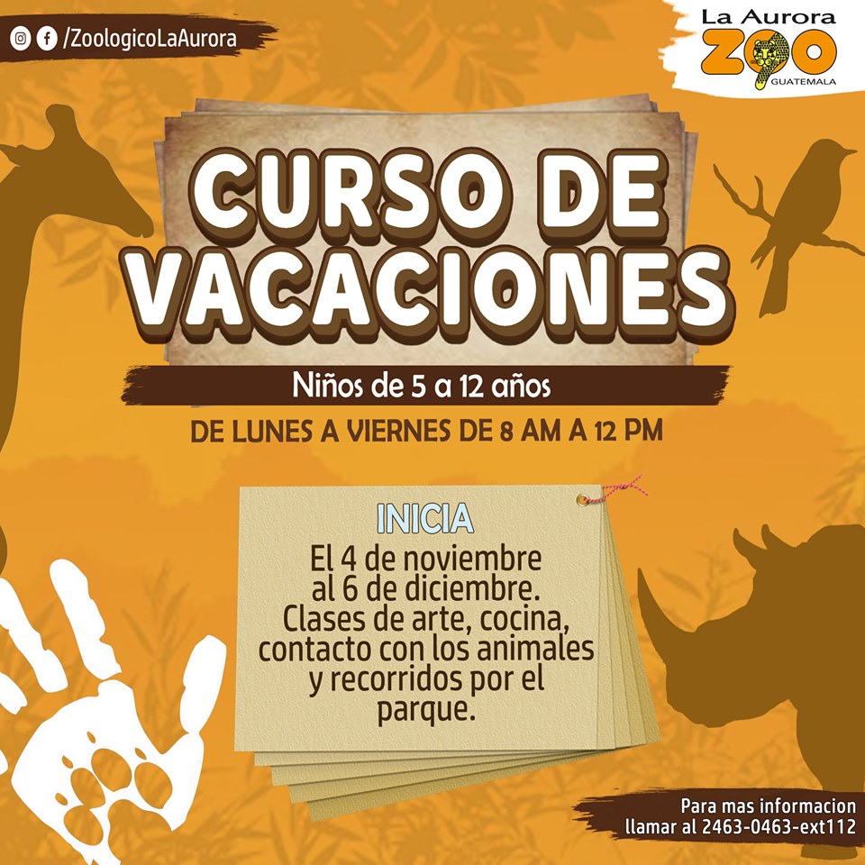 Cursos de vacaciones en Guatemala