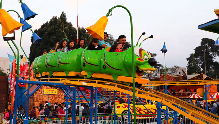 (Foto: Esquilandia)