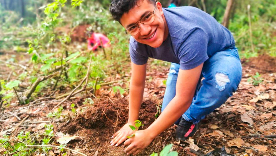 Jornada de mantenimiento de arbolitos sembrados en Guatemala durante 2019
