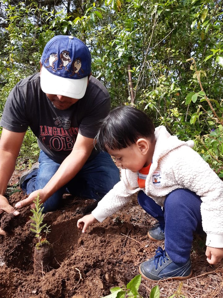 Jornada de mantenimiento de arbolitos sembrados en Guatemala 