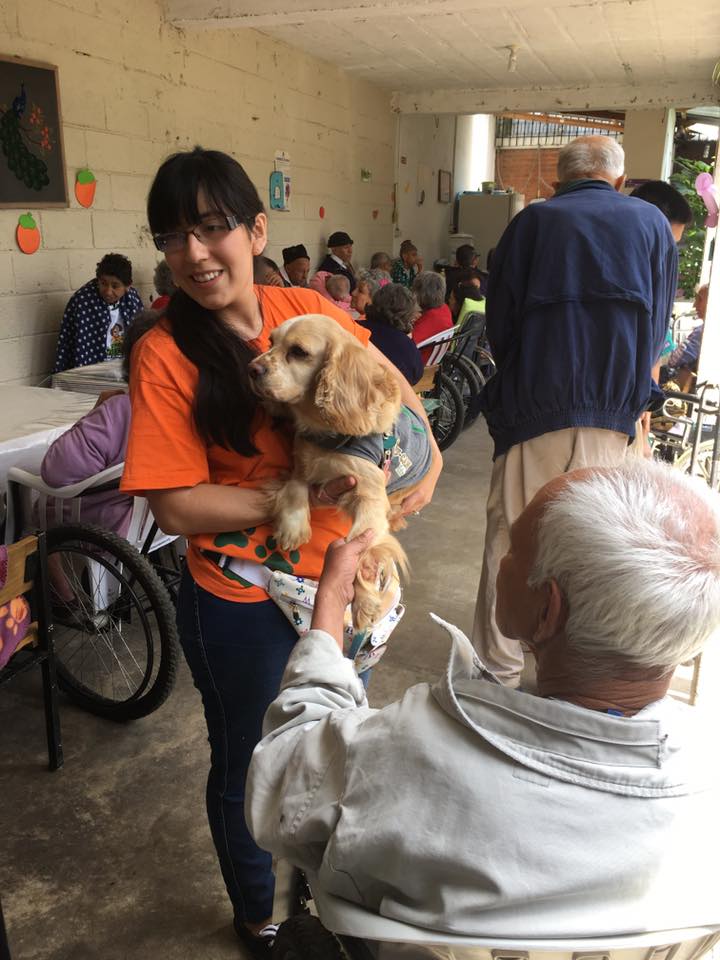 (Foto: DOG Therapy AAA)