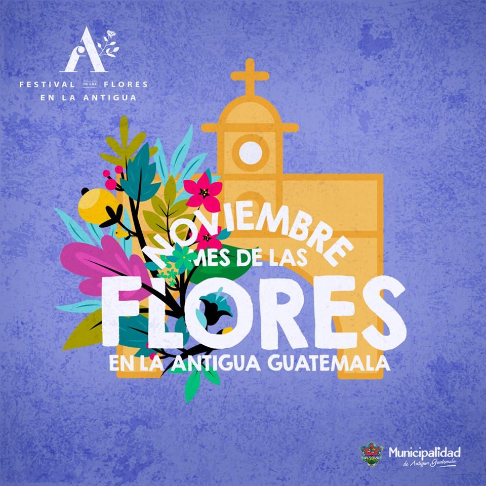 Noviembre es declarado como el Mes de las Flores en Antigua 