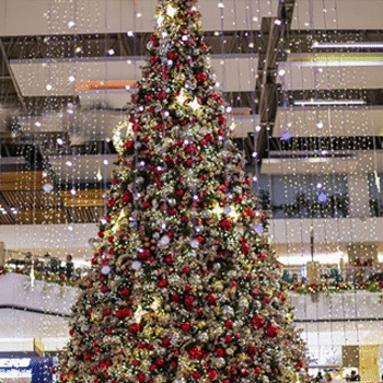 Concierto navideño de Carlos Peña en Miraflores Noviembre 2019