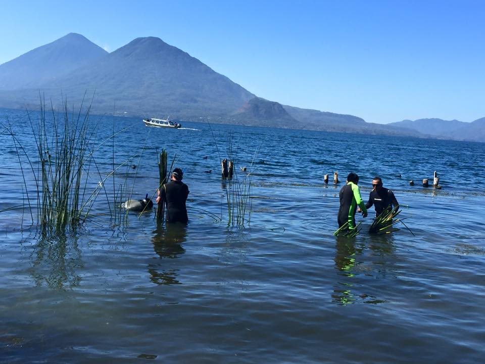 Guatemaltecos sembraron más de 1,400 metros de tul para conservar el Lago de Atitlán 2019