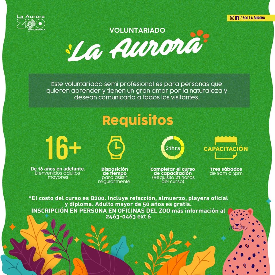 Convocatoria para ser voluntario del Zoológico La Aurora en Guatemala en enero 2020
