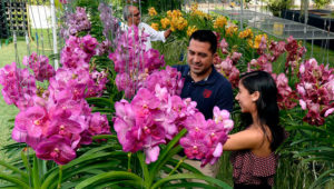 Exposici&oacute;n Nacional de Orqu&iacute;deas | Febrero 2020