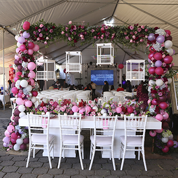 Festival de quince años en Portal de bodas y eventos 9