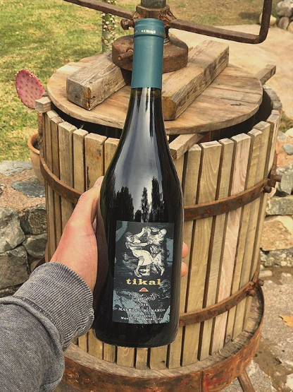 Vino Tikal maya en Argentina