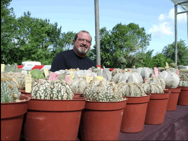 (Foto: Collado Lindo Cactus)