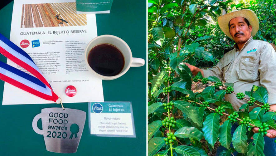Café cultivado en Guatemala ganó reconocido premio en Estados Unidos