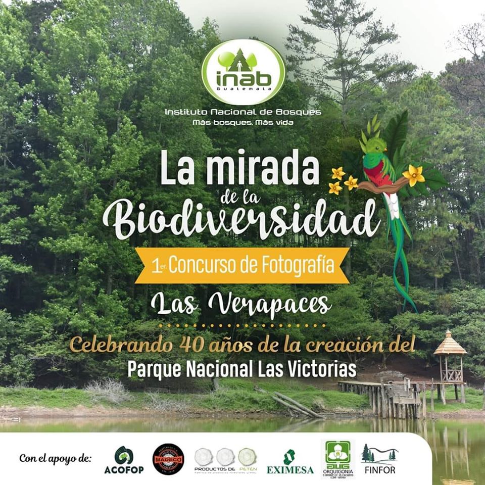 Convocatoria para concurso de fotografía La mirada de la Biodiversidad 