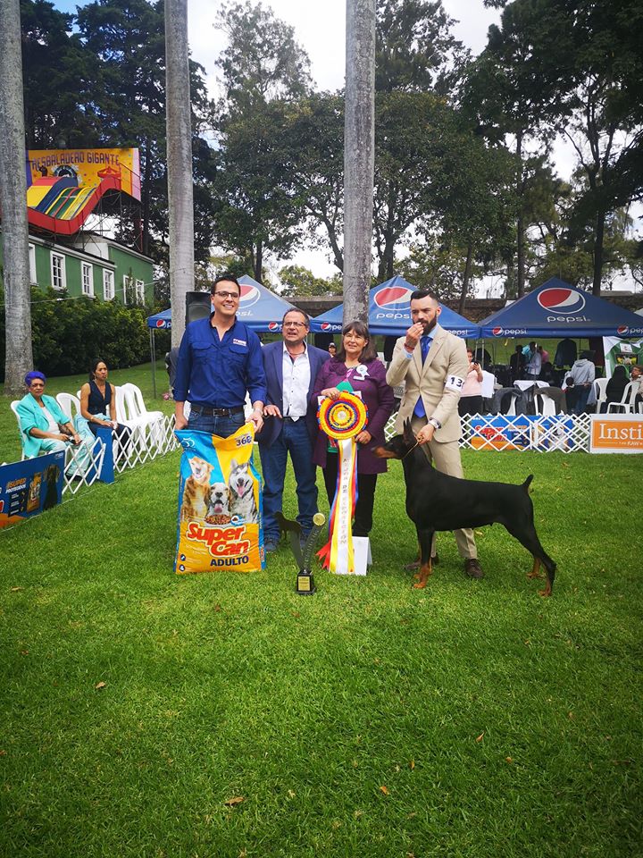 (Foto: Acangua Asociación Canófila Guatemalteca)