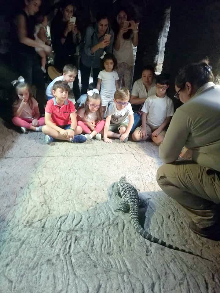 (Foto: Parque Zoológico Nacional La Aurora)