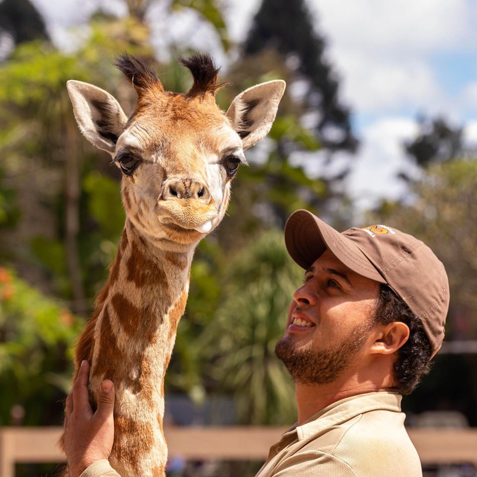 Zoológico cerrado por Coronavirus
