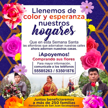 Ayuda comprando a floricultores, de San Juan Sacatepéquez, afectados por el COVID-19
