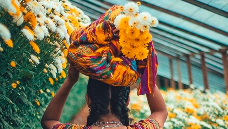 Ayuda comprando a floricultores, de San Juan Sacatepéquez, afectados por el COVID-19