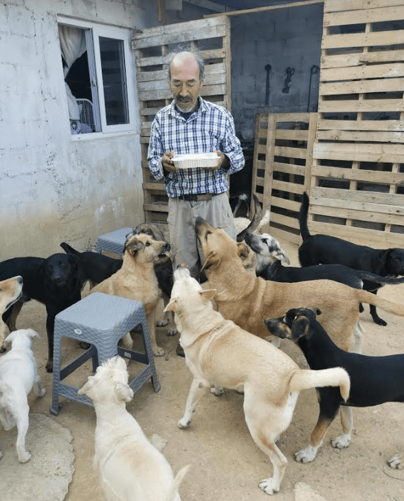 Cómo apoyar con las donaciones para los peludos