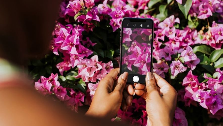 Convocatoria para el concurso de fotografía Quédate en Casa de Fundación Rozas Botrán