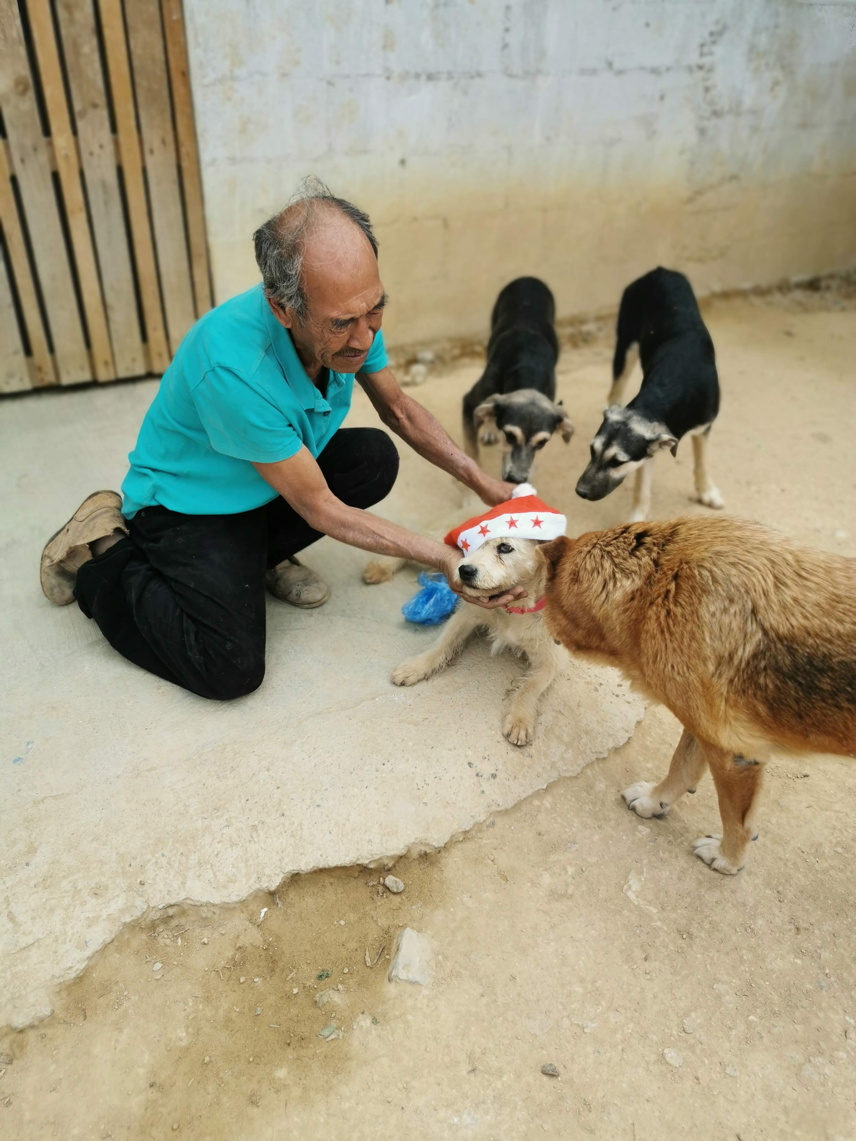 Maquito y Rebe recaudan comida para perros rescatados en la Ciudad de Guatemala