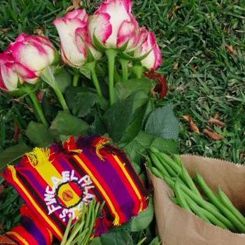Ayuda comprando a floricultores, de San Juan Sacatepéquez, afectados por el COVID-19