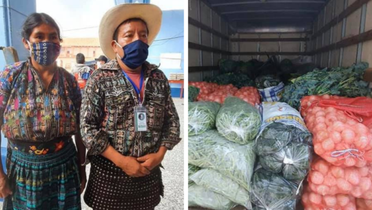 COVID-19: Familia, originaria de Sololá, donó verduras para los guatemaltecos más necesitados