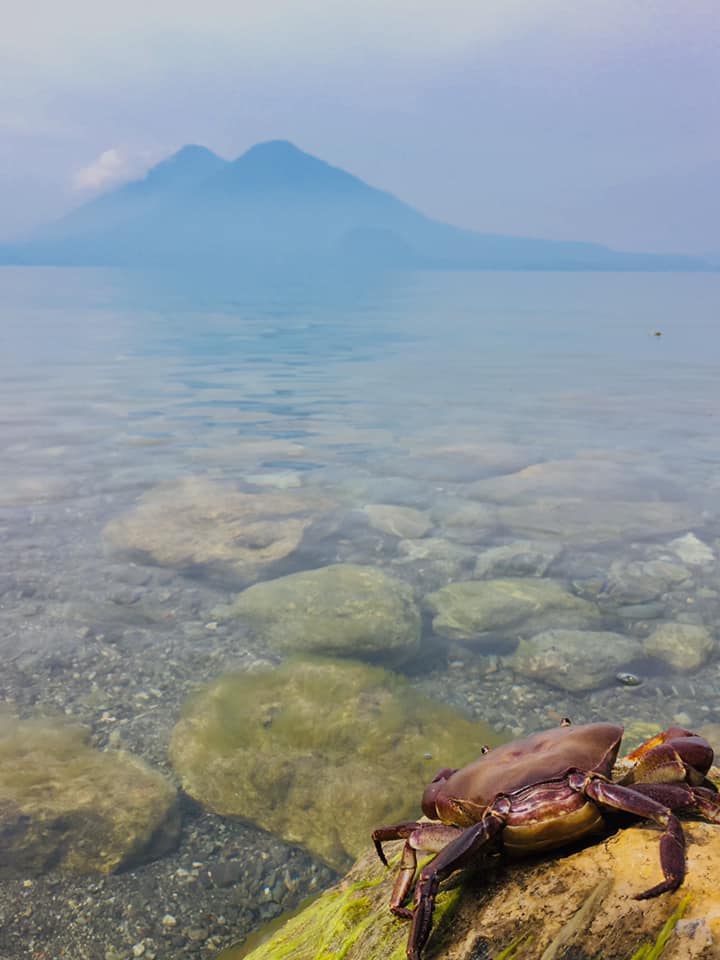 Agua cristalina del Lago de Atitlán, Sololá