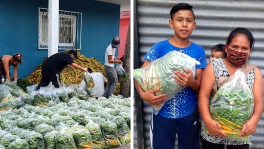 Asocoprode ha donado más de 20,000 libras de verduras a personas de escasos recursos