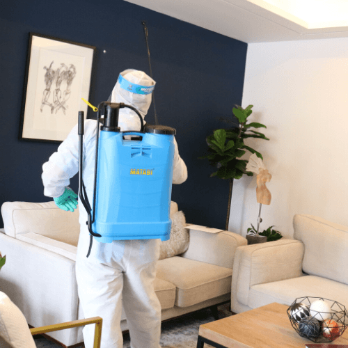 ofrece servicios de limpieza en espacios físicos durante COVID-19