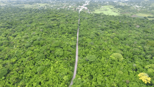 Calle que conduce a Cobán pasa en medio de un parque nacional de Petén