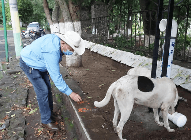 Comedor para perros en Amatitlán
