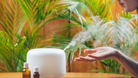 DIFUSORES DE ACEITES