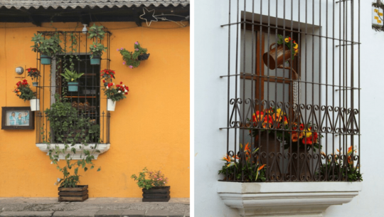 Iniciativa busca llenar de flores los balcones de las casas de Antigua Guatemala